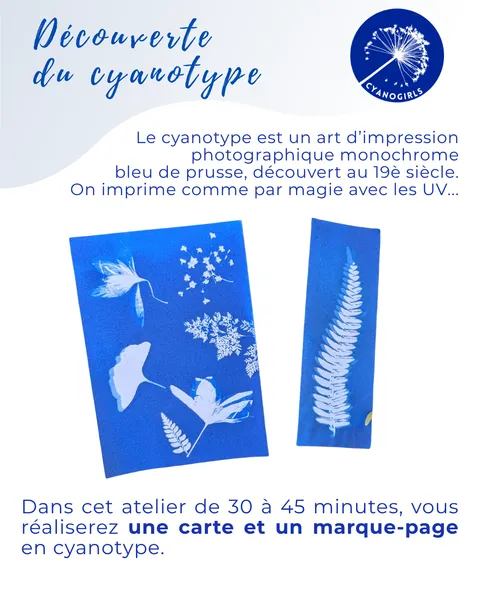 découverte du cyanotype