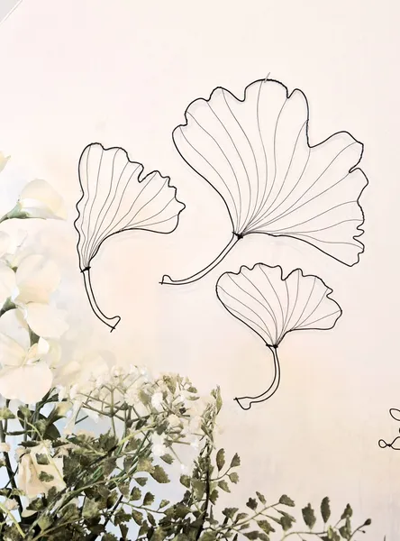 feuilles de ginkgo