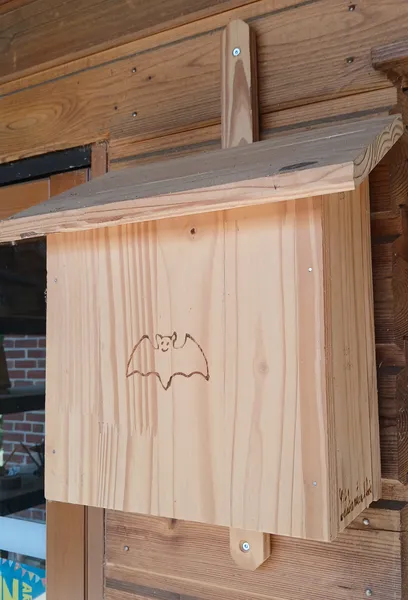 gîte à chauves souris