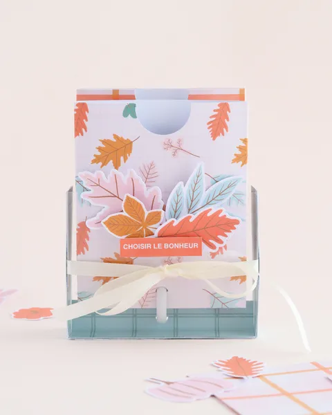 dejolieschoses mini album memoridex 01